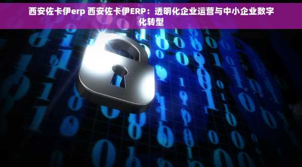 西安佐卡伊erp 西安佐卡伊ERP：透明化企业运营与中小企业数字化转型