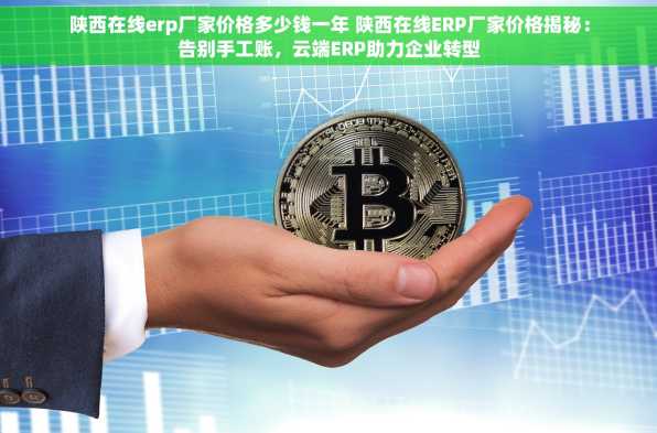 陕西在线erp厂家价格多少钱一年 陕西在线ERP厂家价格揭秘：告别手工账，云端ERP助力企业转型