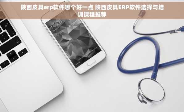 陕西皮具erp软件哪个好一点 陕西皮具ERP软件选择与培训课程推荐