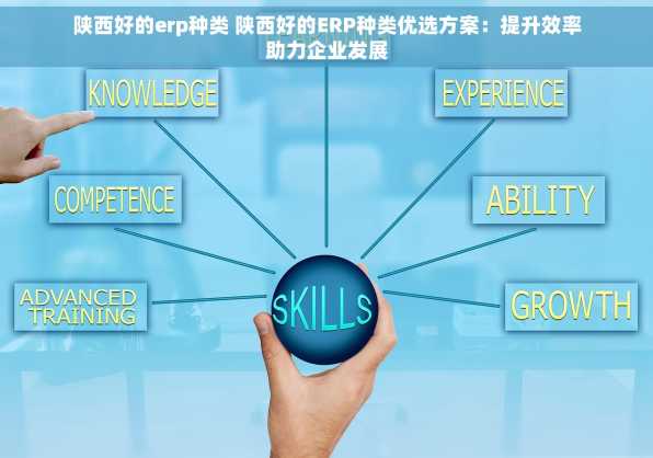 陕西好的erp种类 陕西好的ERP种类优选方案：提升效率助力企业发展