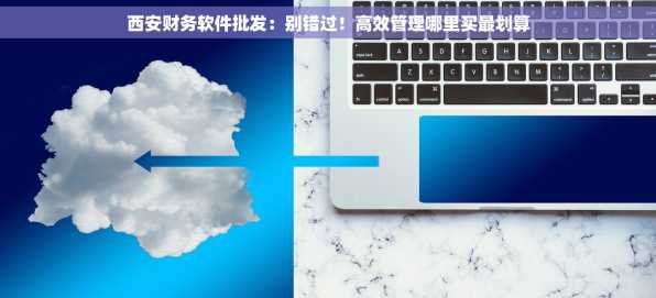西安财务软件批发：别错过！高效管理哪里买最划算