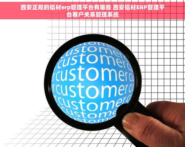 西安正规的铝材erp管理平台有哪些 西安铝材ERP管理平台客户关系管理系统