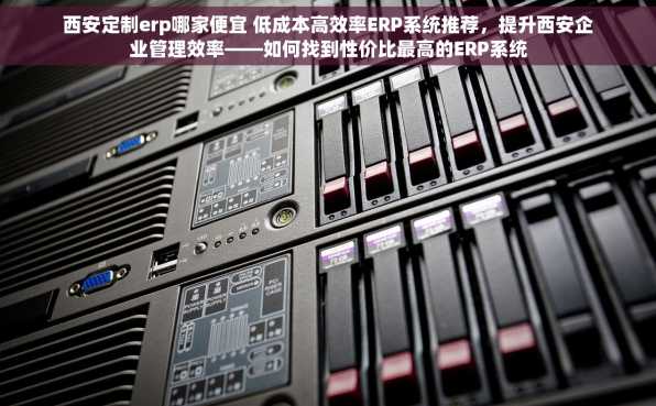 西安定制erp哪家便宜 低成本高效率ERP系统推荐，提升西安企业管理效率——如何找到性价比最高的ERP系统