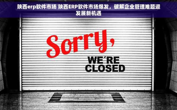 陕西erp软件市场 陕西ERP软件市场爆发，破解企业管理难题迎发展新机遇
