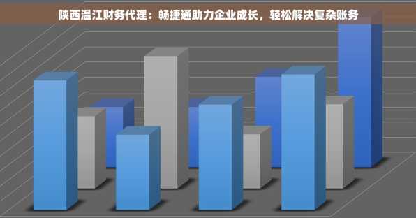 陕西温江财务代理：畅捷通助力企业成长，轻松解决复杂账务