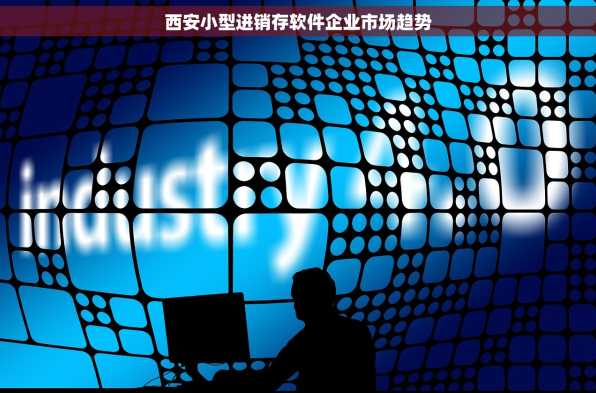 西安小型进销存软件企业市场趋势