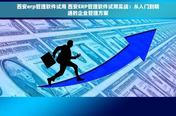 西安erp管理软件试用 西安ERP管理软件试用实战：从入门到精通的企业管理方案