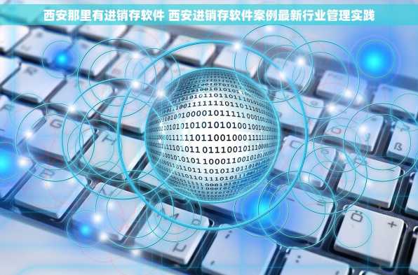 西安那里有进销存软件 西安进销存软件案例最新行业管理实践