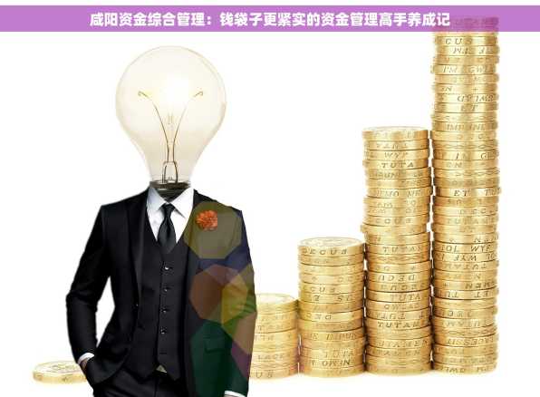 咸阳资金综合管理：钱袋子更紧实的资金管理高手养成记