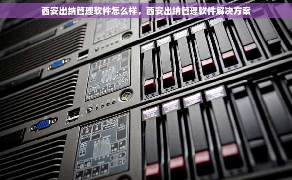 西安出纳管理软件怎么样，西安出纳管理软件解决方案