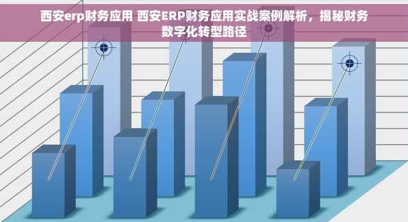 西安erp财务应用 西安ERP财务应用实战案例解析，揭秘财务数字化转型路径