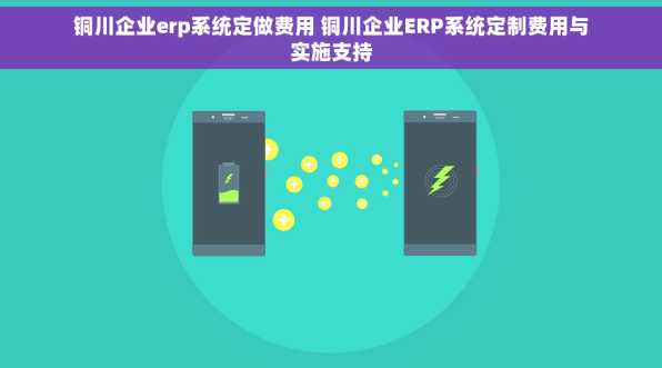 铜川企业erp系统定做费用 铜川企业ERP系统定制费用与实施支持