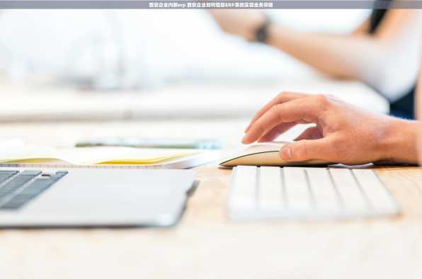 西安企业内部erp 西安企业如何借助ERP系统实现业务突破