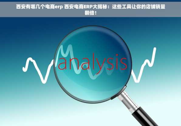 西安有哪几个电商erp 西安电商ERP大揭秘：这些工具让你的店铺销量翻倍！
