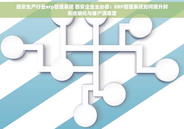 西安生产行业erp管理系统 西安企业主必看：ERP管理系统如何提升财务透明化与客户满意度