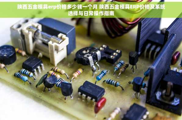 陕西五金模具erp价格多少钱一个月 陕西五金模具ERP价格及系统选择与日常操作指南