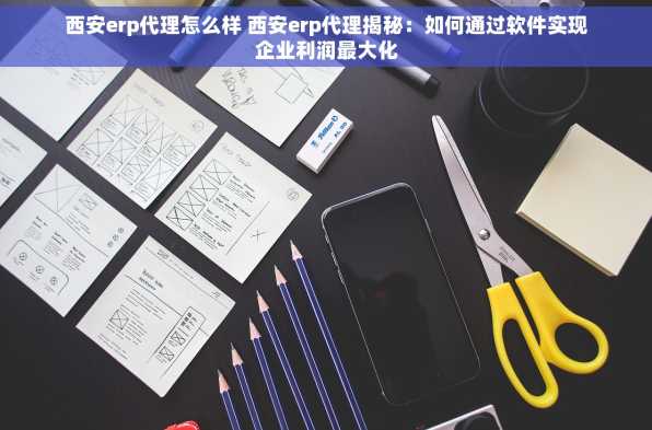 西安erp代理怎么样 西安erp代理揭秘：如何通过软件实现企业利润最大化