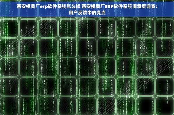 西安模具厂erp软件系统怎么样 西安模具厂ERP软件系统满意度调查：用户反馈中的亮点