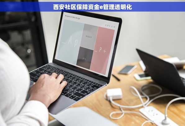西安社区保障资金e管理透明化