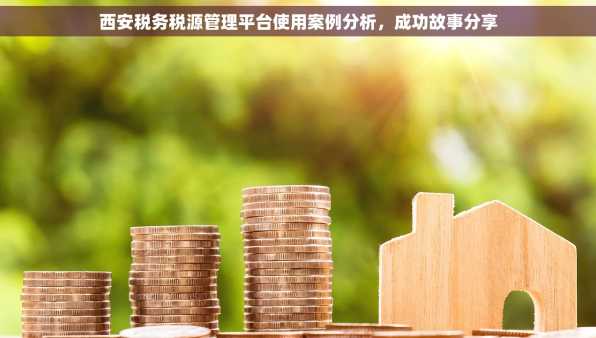 西安税务税源管理平台使用案例分析，成功故事分享
