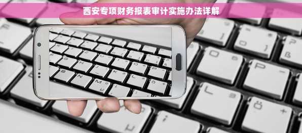 西安专项财务报表审计实施办法详解