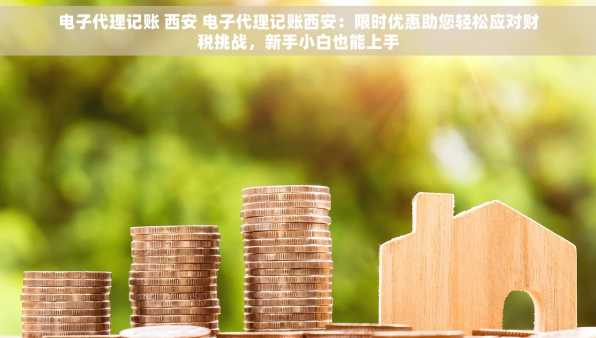 电子代理记账 西安 电子代理记账西安：限时优惠助您轻松应对财税挑战，新手小白也能上手