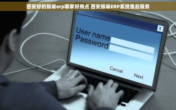 西安好的服装erp哪家好用点 西安服装ERP系统售后服务