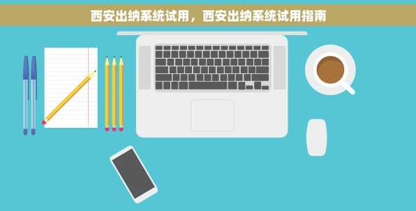 西安出纳系统试用，西安出纳系统试用指南