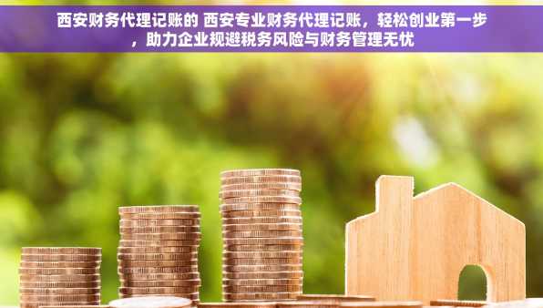 西安财务代理记账的 西安专业财务代理记账，轻松创业第一步，助力企业规避税务风险与财务管理无忧