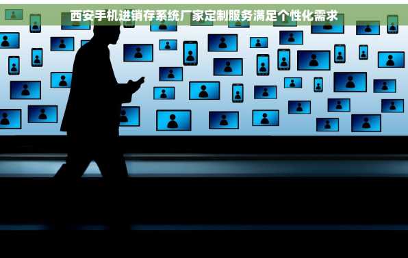 西安手机进销存系统厂家定制服务满足个性化需求