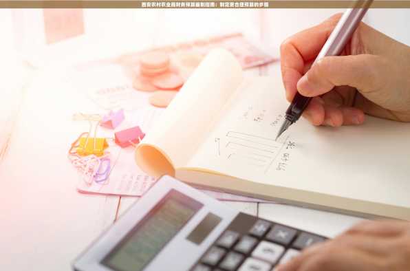 西安农村农业局财务预算编制指南：制定更合理预算的步骤