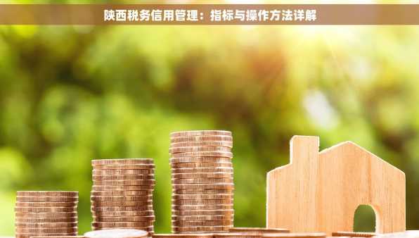 陕西税务信用管理：指标与操作方法详解