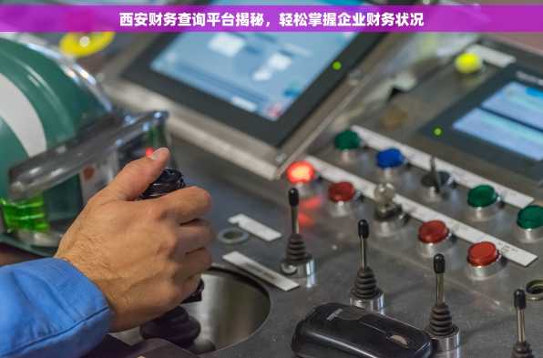 西安财务查询平台揭秘，轻松掌握企业财务状况