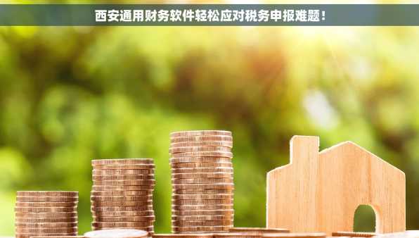 西安通用财务软件轻松应对税务申报难题！