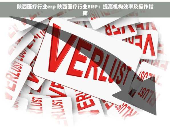 陕西医疗行业erp 陕西医疗行业ERP：提高机构效率及操作指南
