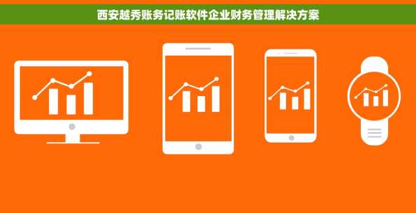 西安越秀账务记账软件企业财务管理解决方案