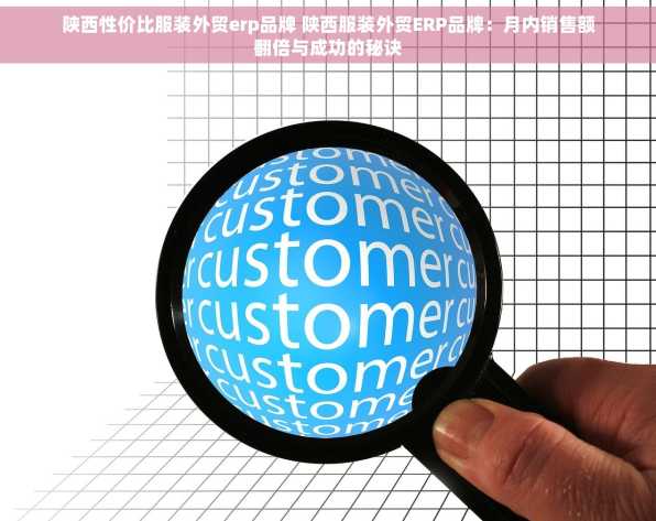 陕西性价比服装外贸erp品牌 陕西服装外贸ERP品牌：月内销售额翻倍与成功的秘诀