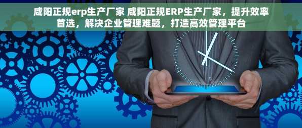 咸阳正规erp生产厂家 咸阳正规ERP生产厂家，提升效率首选，解决企业管理难题，打造高效管理平台