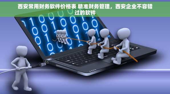 西安常用财务软件价格表 精准财务管理，西安企业不容错过的软件