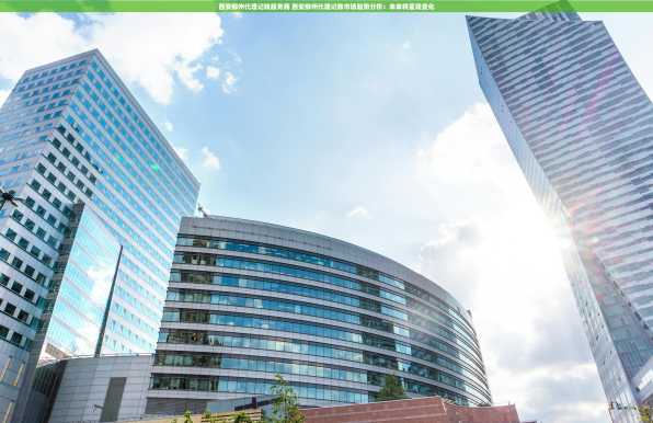 西安柳州代理记账服务商 西安柳州代理记账市场趋势分析：未来将呈现变化