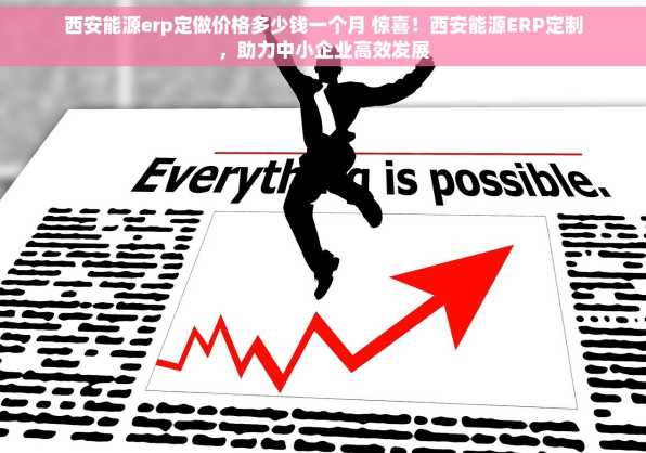 西安能源erp定做价格多少钱一个月 惊喜！西安能源ERP定制，助力中小企业高效发展