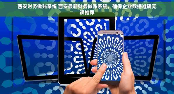 西安财务做账系统 西安最新财务做账系统，确保企业数据准确无误推荐