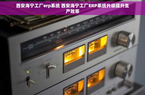 西安海宁工厂erp系统 西安海宁工厂ERP系统升级提升生产效率