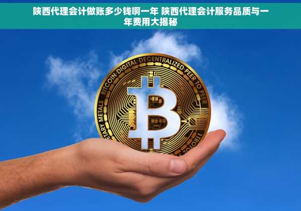 陕西代理会计做账多少钱啊一年 陕西代理会计服务品质与一年费用大揭秘