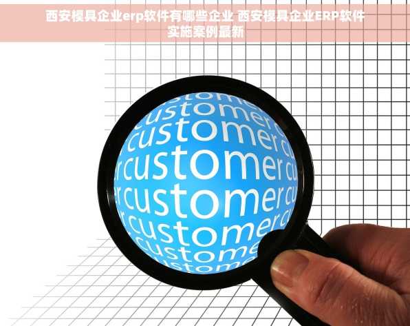 西安模具企业erp软件有哪些企业 西安模具企业ERP软件实施案例最新