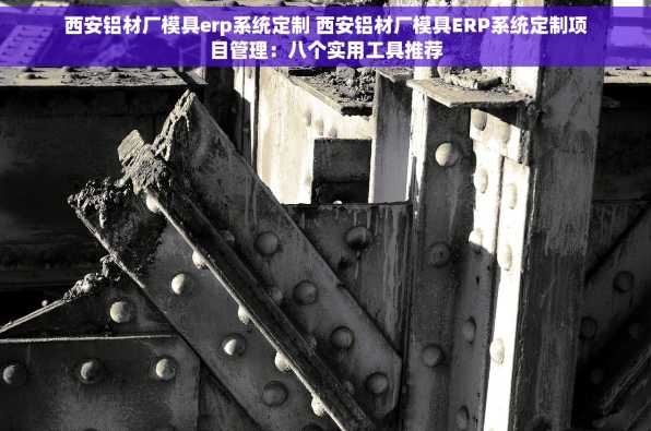 西安铝材厂模具erp系统定制 西安铝材厂模具ERP系统定制项目管理：八个实用工具推荐