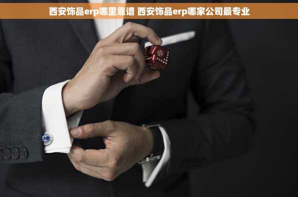 西安饰品erp哪里靠谱 西安饰品erp哪家公司最专业