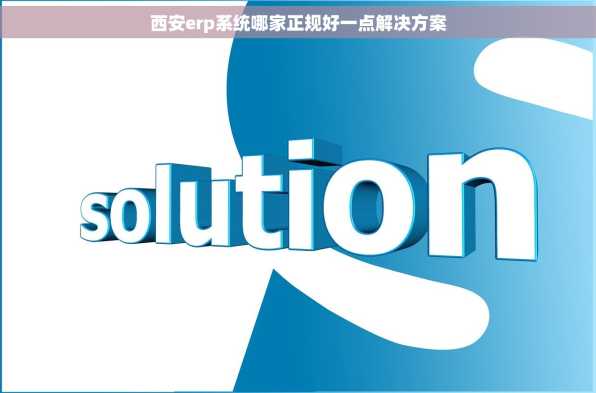 西安erp系统哪家正规好一点解决方案