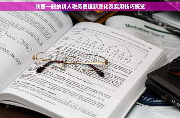 陕西一般纳税人税务管理新变化及实用技巧概览