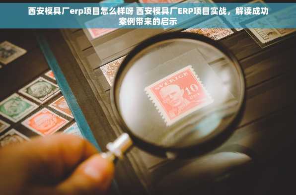 西安模具厂erp项目怎么样呀 西安模具厂ERP项目实战，解读成功案例带来的启示